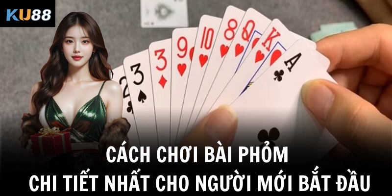 Cách chơi bài Phỏm chi tiết nhất cho người mới bắt đầu