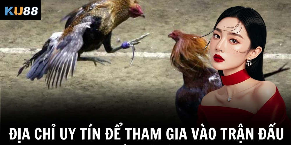 Địa chỉ uy tín để tham gia vào trận đấu trực tiếp đá gà Thomo